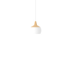 PNG Modern Illumination: 3D Rendering of a Minimal sphere Ceiling Lamp with Stylish Home Decorations - Ideal for Sleek and Contemporary Interiors