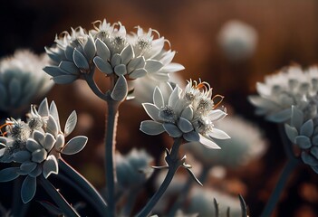 Silvery white flowers of Anaphalis Margaritacea plant , .highly detailed,   cinematic shot   photo taken by sony   incredibly detailed, sharpen details   highly realistic   professional photography li - obrazy, fototapety, plakaty