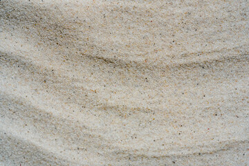 Macro close up sand texture. Background from fine sand.