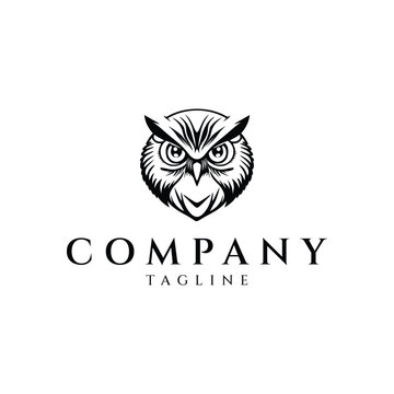 Owl head logo design vector illustration