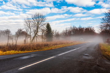 Fototapeta premium A misty road in Krusne Hory in Czechia un autumn.