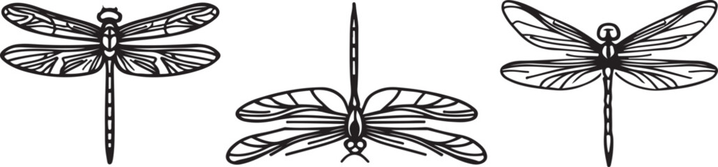 A dragonfly line art vector drawing 