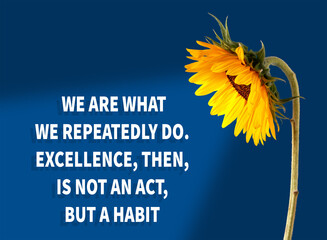 We are what we repeatedly do. Excellence, then, is not an act, but a habit.Motivational quote ....