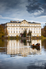 Fototapeta premium Pato num lago com um palácio como fundo e um céu com nuvens