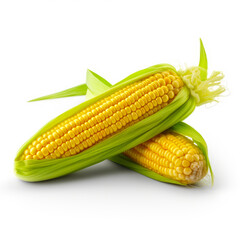 Two corn cobs on white background with clipping area for text. Generative AI.