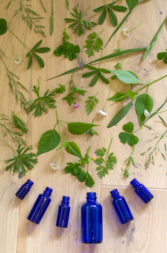 green plant essential oils splashing from, introducing into fragrance bottles
