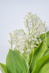 Fototapeta premium lilies of the valley and frames on white
