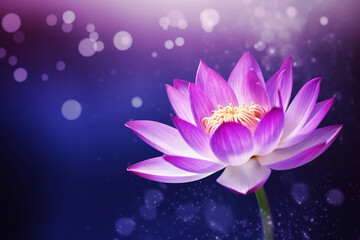 Blooming purple lotus blossom and water crystals in the air as floral background or greeting card generative ai