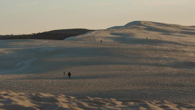 Man with dog walking up sand Dune of Pilat towards ridge in distance, France