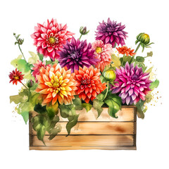 Pot of Petals: Vibrant Watercolor Dahlias for Your Designs