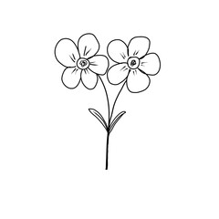 simple flower hand-drawn line art on png 