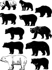 set of a beers silhouettes vector