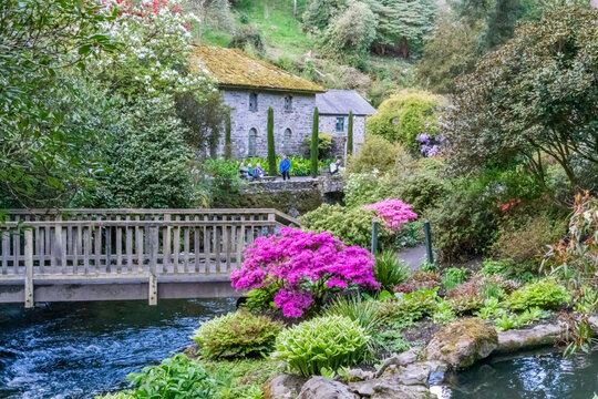 views around a gorgeous UK garden in spirng time