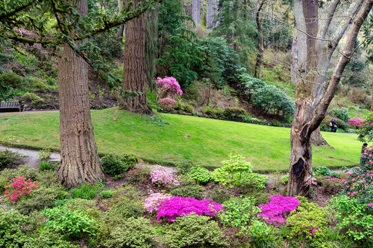 views around a gorgeous UK garden in spirng time