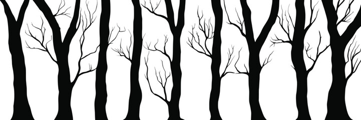 Silhouettes of trees, tree trunks and branches isolated on white background, natural background, banner
