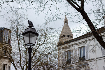 the cathedral of st peter and paul