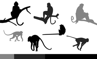 Set of monkey silhouette design premium vector