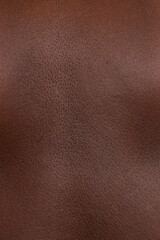 Full frame view of human skin