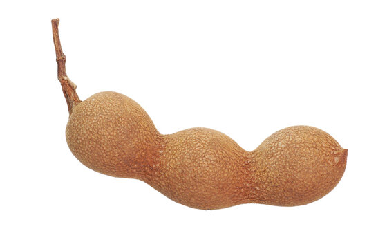 Fresh tamarind fruit isolated. Png transparency