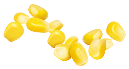 Flying delicious corn seeds, cut out