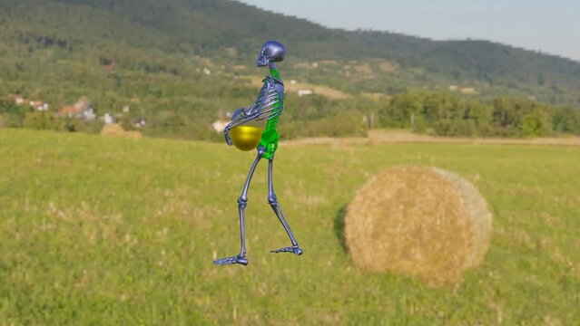 Skeleton - picking apps - wind -air -