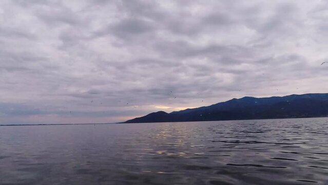 Birds flying over a lake on a couldy day