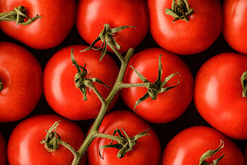 tomatoes on branch the food background