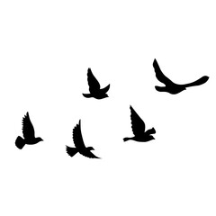 Obraz na płótnie Canvas flying bird vector silhouette