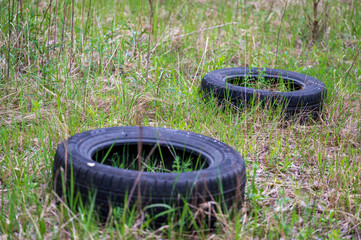 Car tires are thrown in the grass