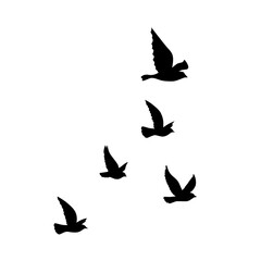 Fototapeta na wymiar flying bird vector silhouette