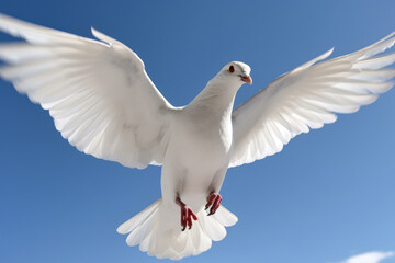 Fototapeta na wymiar white dove flying in the blue sky generative ai