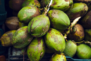 Kokosnuss, Mango, Bananen, Früchte auf dem Marktplatz 
