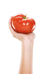 Female hand hold tomato isolated on transparent layered background.