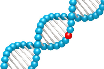 DNA model with blue and red elements