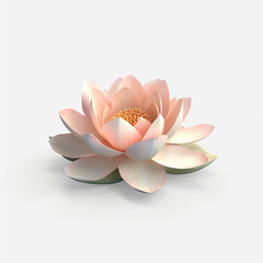 pink lotus water  isolated
