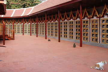 cats in a buddhist temple (Wat Intharavihan) in bangkok (thailand) - obrazy, fototapety, plakaty
