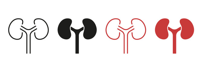 Human Kidney Line and Silhouette Color Icon Set. Anatomy of Renal Organ Pictogram. Kidneys Urology Disease, Dialysis Medical Treatment Symbol Collection. Isolated Vector Illustration