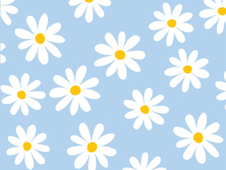 Hand drown daisy flower. Camomiles illustration on a soft blue background