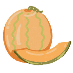 illustration of a melon