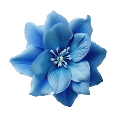 Blue flower isolated on white background. Created with Generative AI tools