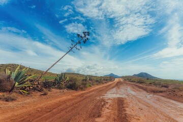 paradise landscape of a hiking road with puddles and agaves on the roadside, mountains in the background and a turquoise blue sky with clouds. Heaven and earth, paradise, climate change.