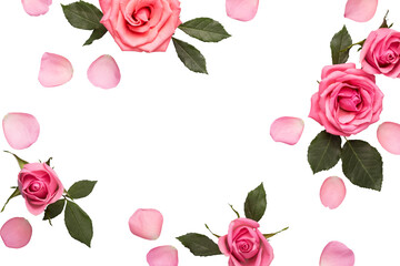Frame of pink roses cut out. Beautiful flower arrangement for your design. Mothers day, Valentines...