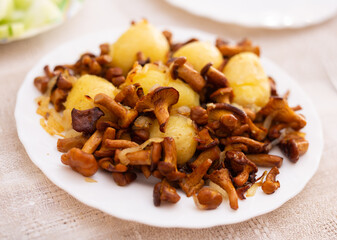 appetizing fried chanterelle mushrooms with new potatoes on white plate