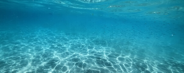 flock of young small school fish under water background ocean