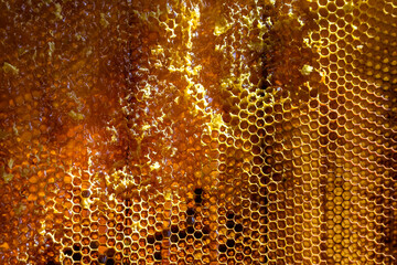 Drop of bee honey drip from hexagonal honeycombs filled with golden nectar