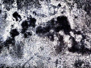 The textured background with unusual patterns and colors is very beautiful.