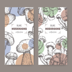 Set of two labels with cyclocybe aegerita aka poplar mushroom anad Boletus edulis aka porcini mushroom sketch. - 600755885