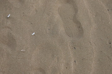footprints on the sand