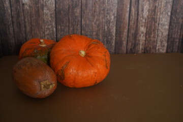 A big orange pumpkin in a soft evening sunlight against a wooden wall.