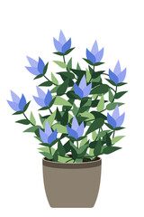 Home plant. Potted plant isolated. Decorative green houseplant in pot. Plant in pot. Vector illustration